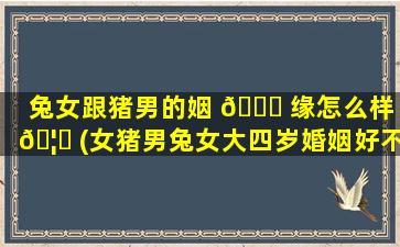 兔女跟猪男的姻 🐈 缘怎么样 🦉 (女猪男兔女大四岁婚姻好不好)